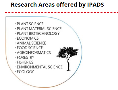 IPADS项目研究领域---东京大学